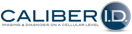 Caliber ID Logo